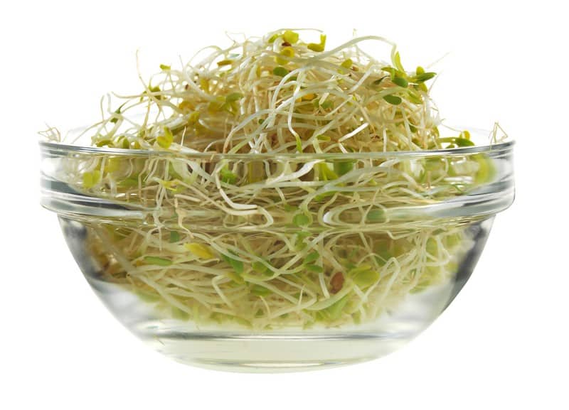 Alfalfa Sprouts Isolated Food Picture