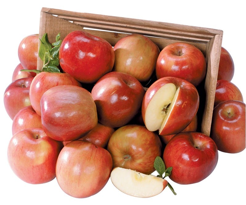 Basket of Fuji Apples Isolated Food Picture