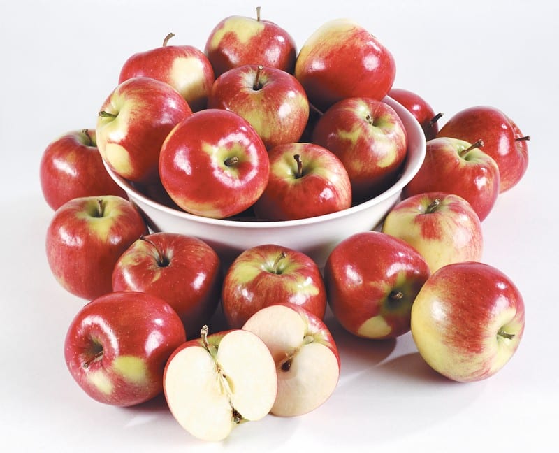 Bowl of Macintosh Apples on White Background Food Picture