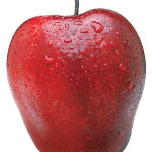 Washed Red Delicious Apple Isolated Food Picture