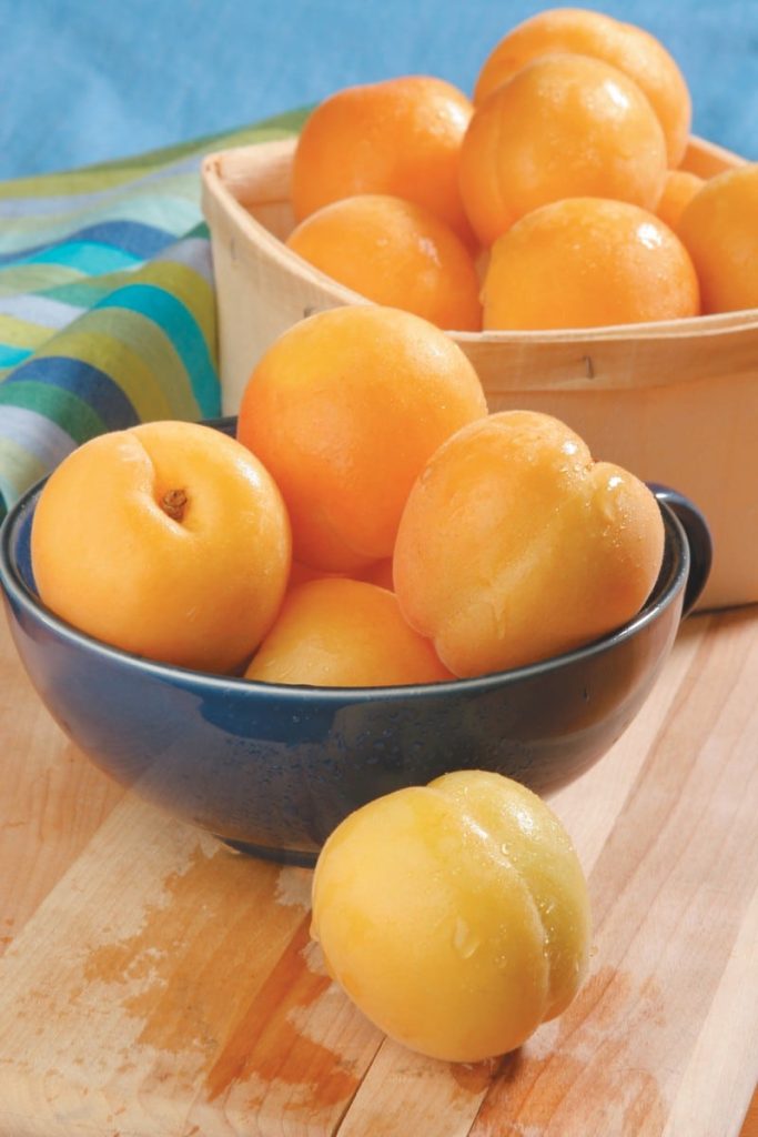 Bowls of Washed Apricots on Board Food Picture