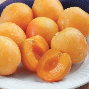 Washed Whole and Cut Apricots on Plate Food Picture