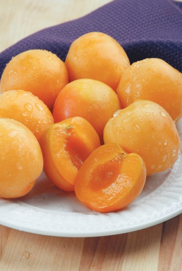Washed Whole and Cut Apricots on Plate Food Picture