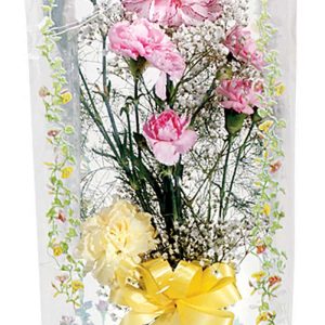 Floral Arrangement in White and Clear Decorative Bag Food Picture