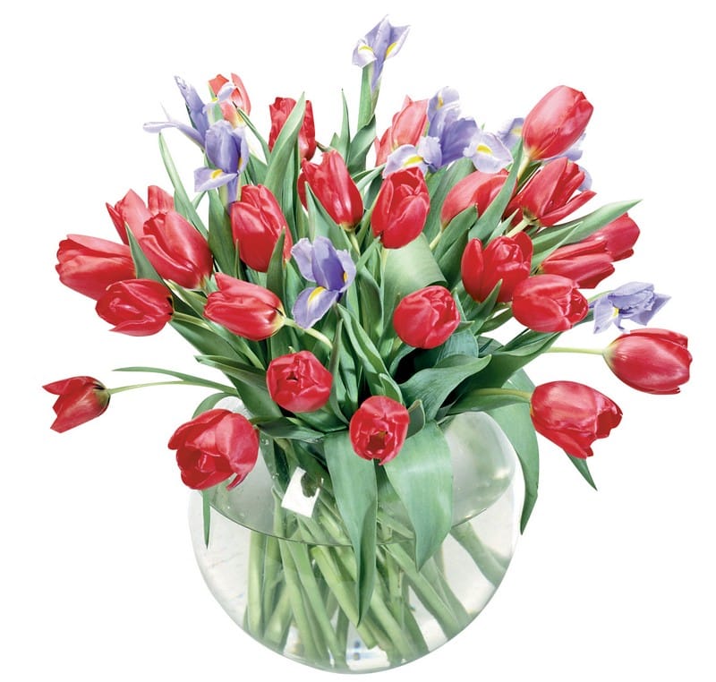 Assorted Tulip Arrangement in Clear Vase Food Picture