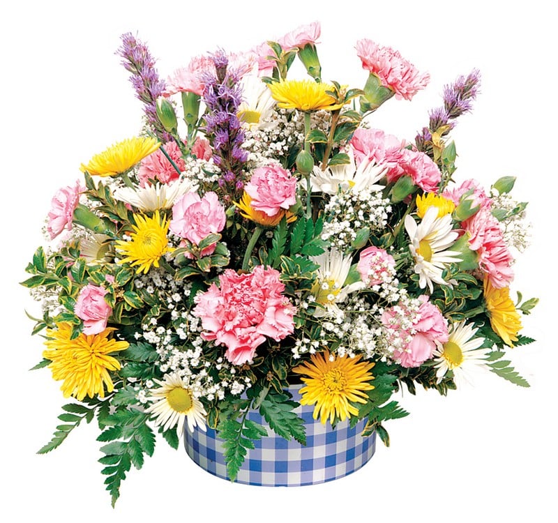 Floral Arrangement in Checkered Vase Food Picture