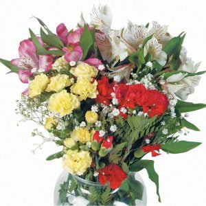 Carnation Assortment in Clear Vase Food Picture