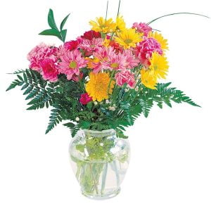 Colorful Carnation Assortment in Clear Vase Food Picture