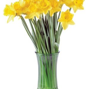 Yellow Daffodils in Clear Vase Food Picture
