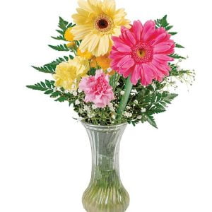 Assorted Daisies in Clear Vase Food Picture