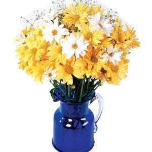 Daisy Assortment in Blue Vase Food Picture