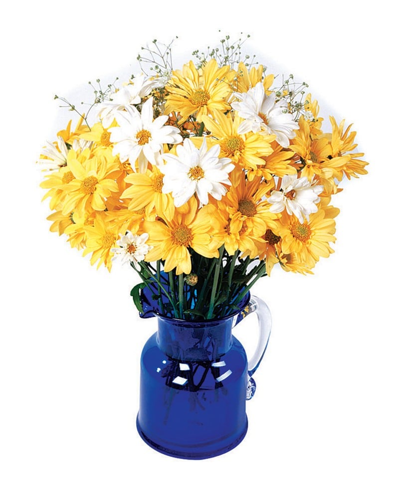 Daisy Assortment in Blue Vase Food Picture