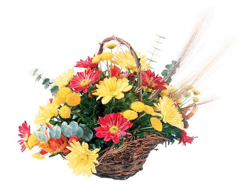 Fall Floral Arrangement in Brown Basket Food Picture