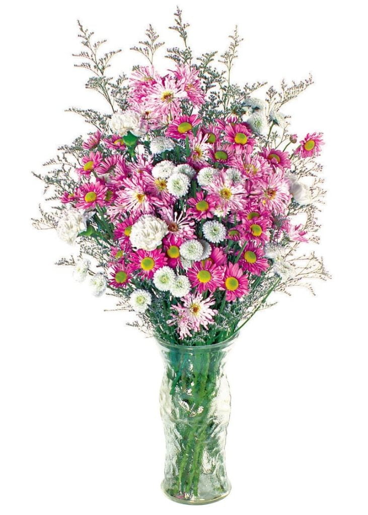 Floral Mum Assortment in Clear Vase Food Picture