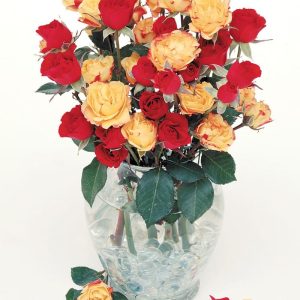 Floral Rose Assortment in Clear Vase Food Picture