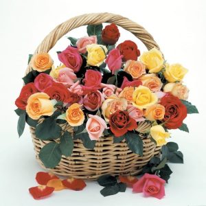 Floral Rose Assortment in Basket Food Picture