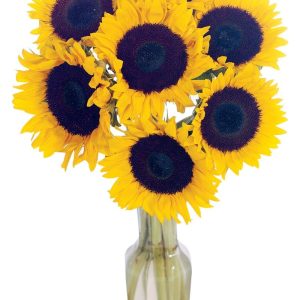 Sunflower Floral Arrangement in Clear Vase Food Picture