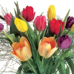 Floral Tulip Assortment Food Picture