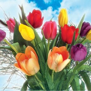 Spring Tulip Arrangement with Sky Background Food Picture
