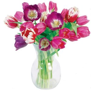 Spring Tulip Arrangement in Clear Vase Food Picture