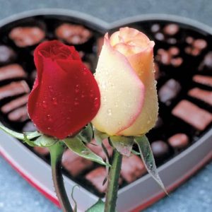 Two Single Roses in Front of Heart Box of Chocolates Food Picture