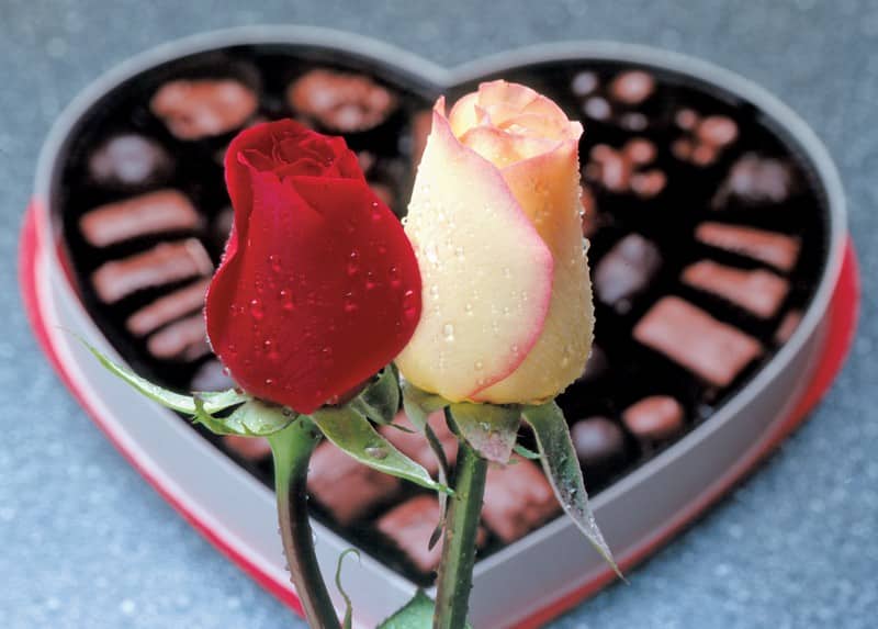 Two Single Roses in Front of Heart Box of Chocolates Food Picture
