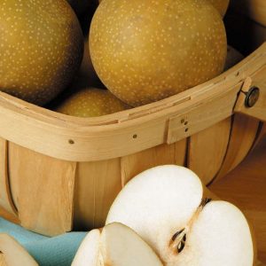 Asian Pears in a Basket Food Picture