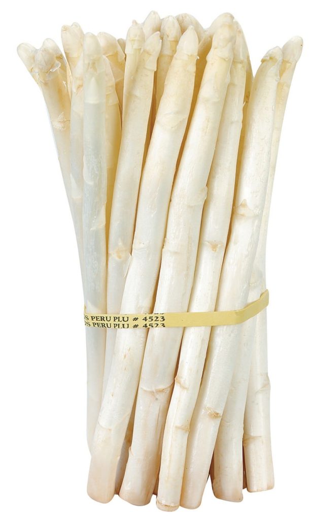 White Asparagus in Rubber Band Food Picture