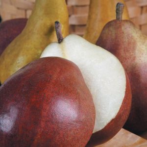 Assorted Pears on a Wooden Board Food Picture