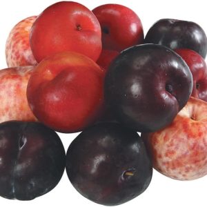 Assorted Plums Food Picture