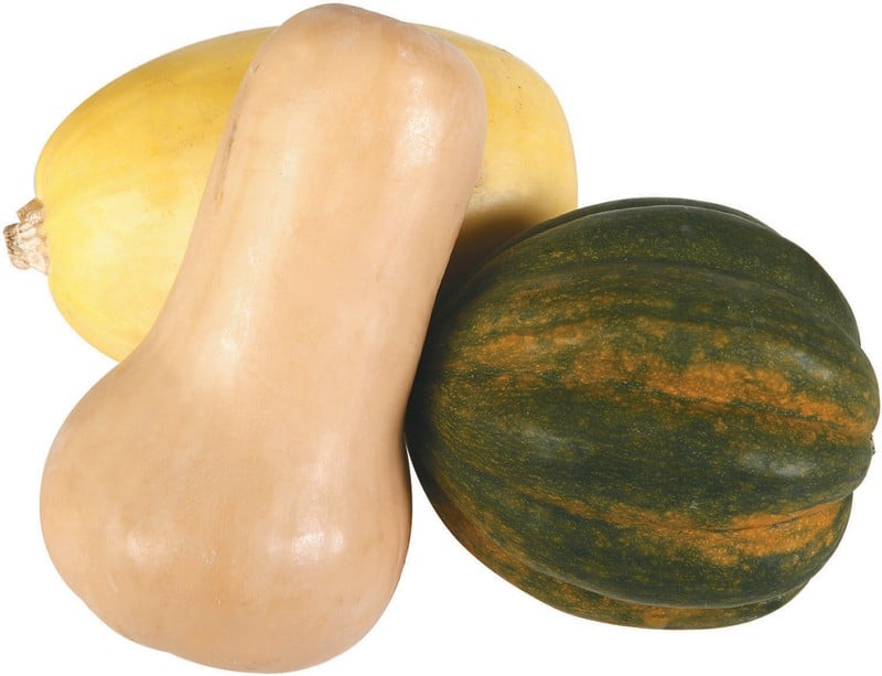 Assorted Squash Food Picture