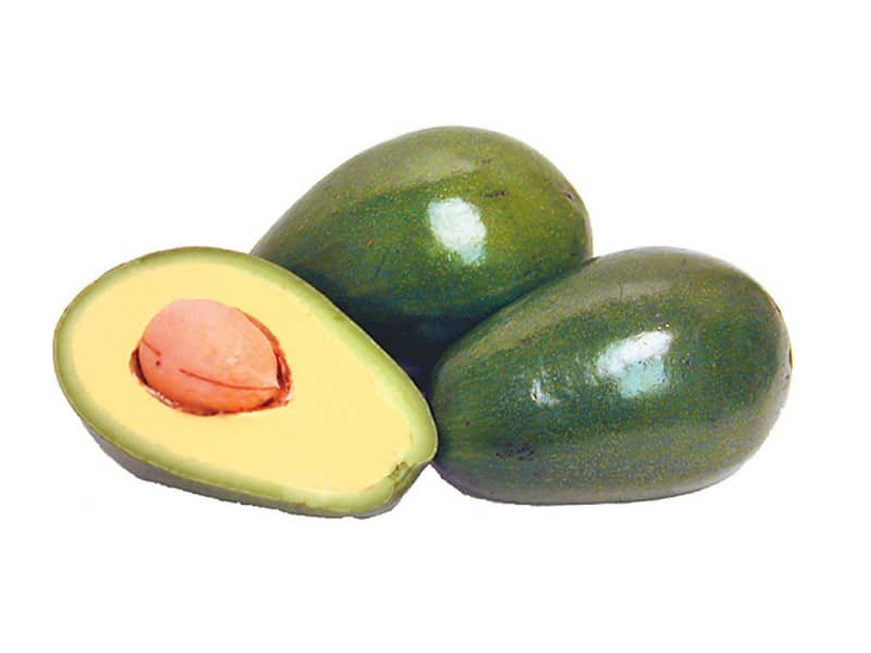 Avocado on White Background, Whole and Half Food Picture