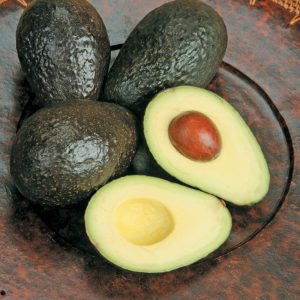 Avocado on Dark Plate Food Picture