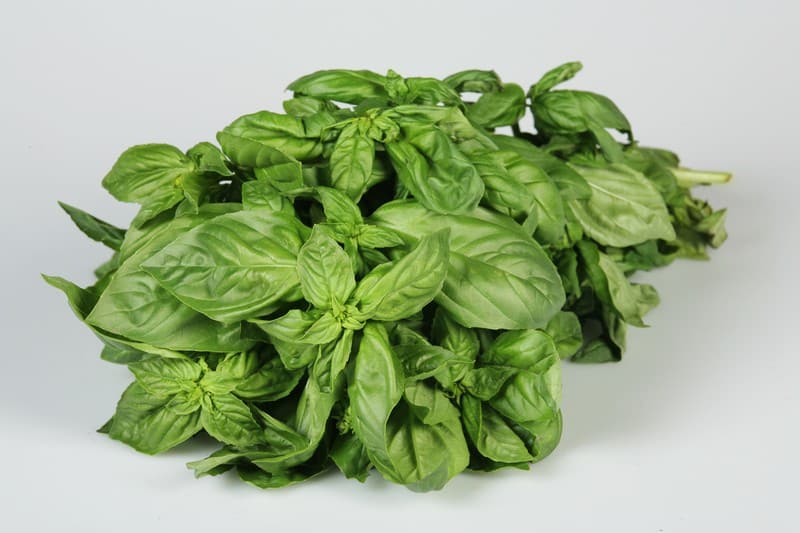 Basil Food Picture