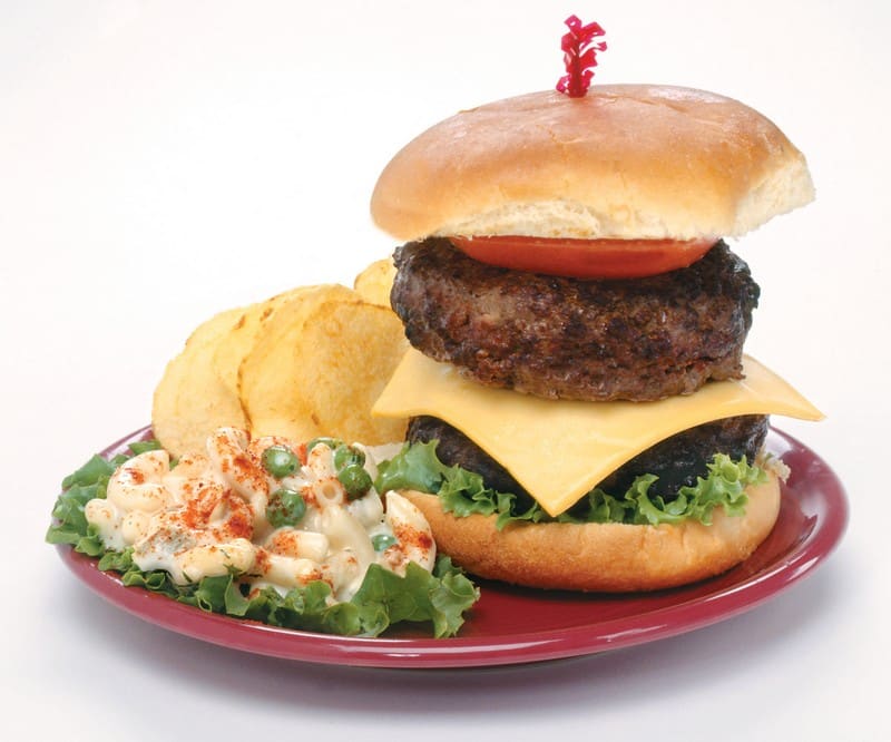 Double Cheeseburger with Chips and Pasta Salad Food Picture