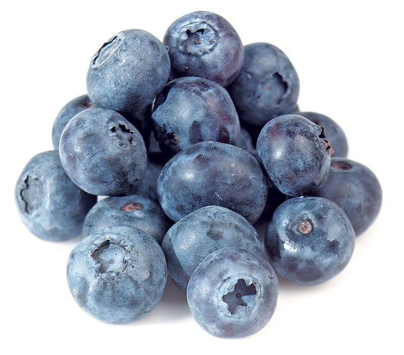 Small Pile of Fresh Plump Blueberries Food Picture