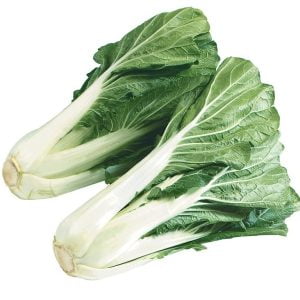 Bok Choy on White Background Food Picture