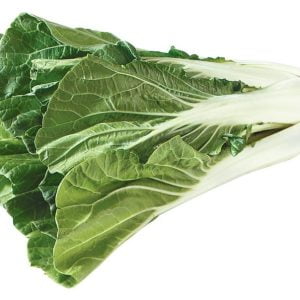 Bok Choy on White Background Food Picture