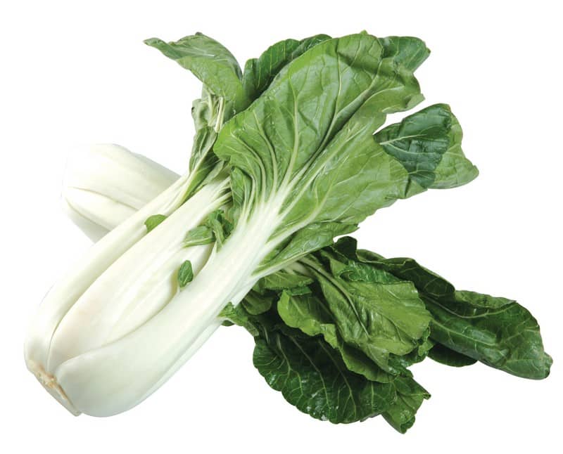 Bok Choy Food Picture