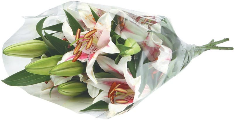 Bouquet of Lilies Food Picture