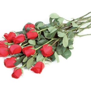 Loose Red Rose Bouquet on White Background Food Picture
