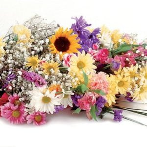 Spring Bouquet Assortment on White Background Food Picture