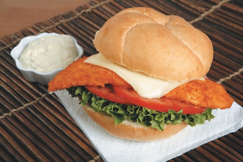 Breaded Fish Sandwich on a Napkin with Sauce on the Side Food Picture
