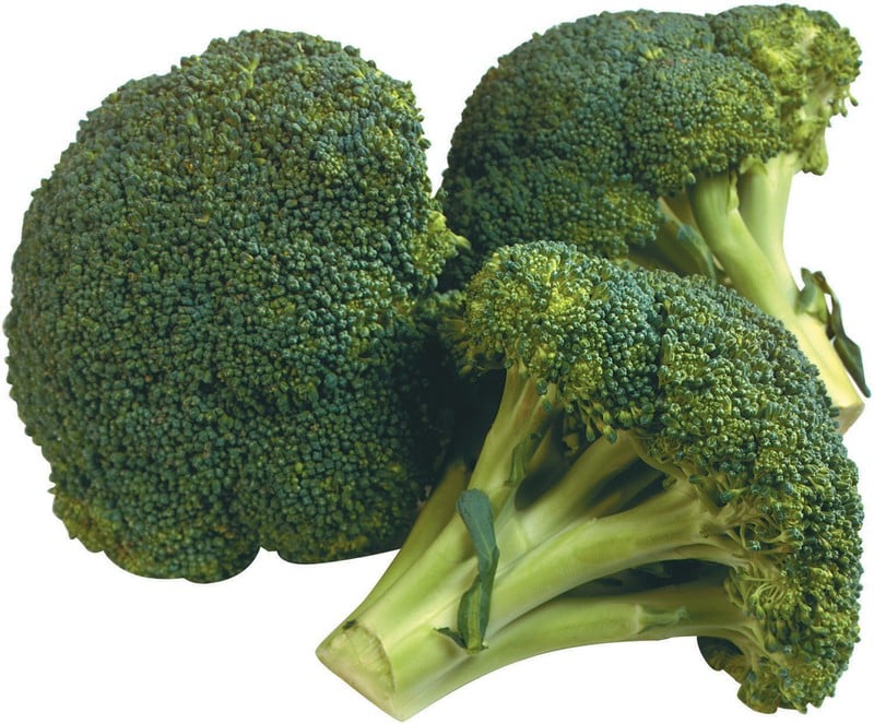 Single piece of broccoli on a fork with a wooden background Food Picture