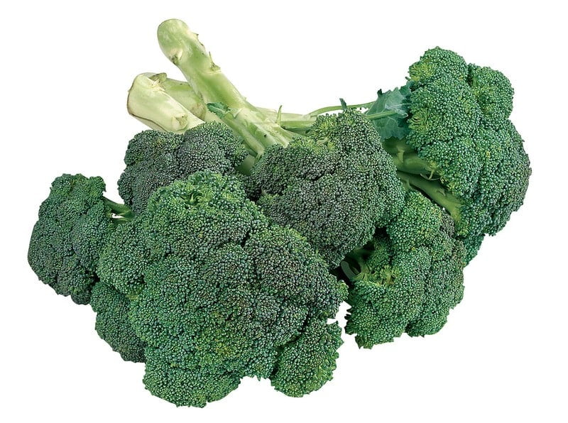 Broccoli on white isolated background Food Picture
