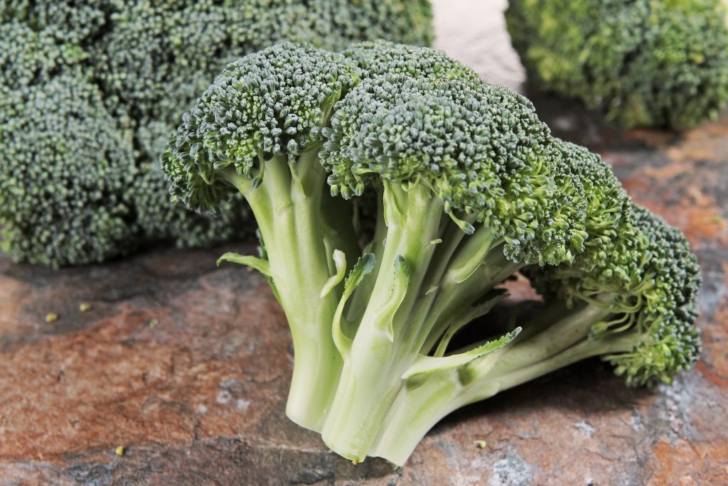 Fresh Crisp Broccoli Crowns on Slate Countertop Food Picture