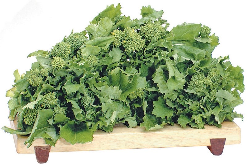 Broccoli rabe on light wooden board with white background Food Picture