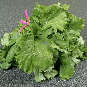 Broccoli Rabe Food Picture