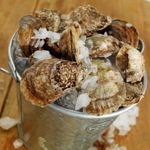 Bucket of Raw Oysters Food Picture