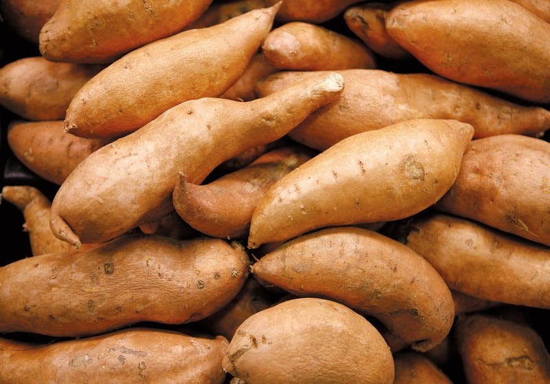 Bulk Sweet Potatoes Food Picture